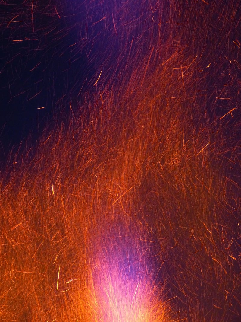 Fire Gardens
